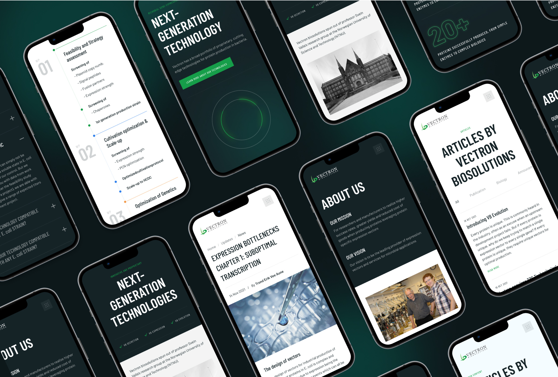 Example of Website Design & Development 