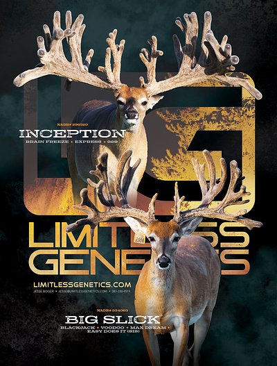 Limitless Genetics - single page magazine ad graphic design
