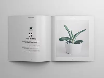 Portfolio / Catalog Template brand brand identity brochure catalog catalogue company editorial fashion indesign layout lookbook magazine media minimal modern multipurpose portfolio product square template