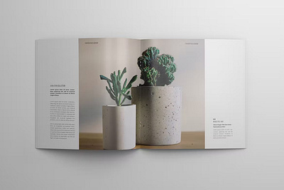 Portfolio / Catalog Template brand brand identity brochure catalog catalogue company editorial fashion indesign layout lookbook magazine media minimal modern multipurpose portfolio product square template