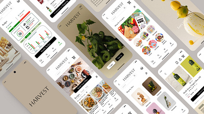 UI/UX Design for Harvest Mobile App app design design figma mobile app ui ux ux design