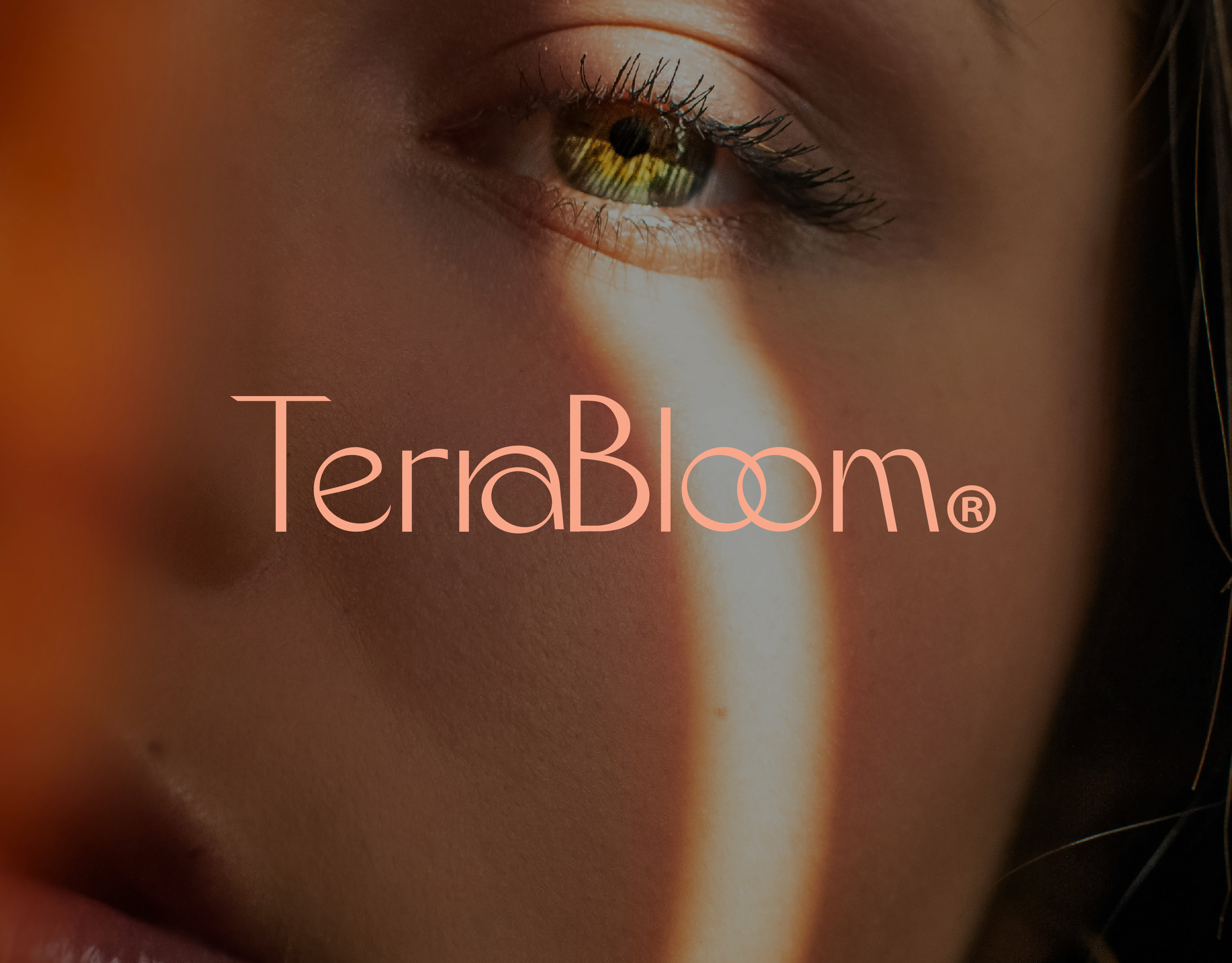 Brand Identity - Terra Bloom brand branding design graphic design identity logo logodesign
