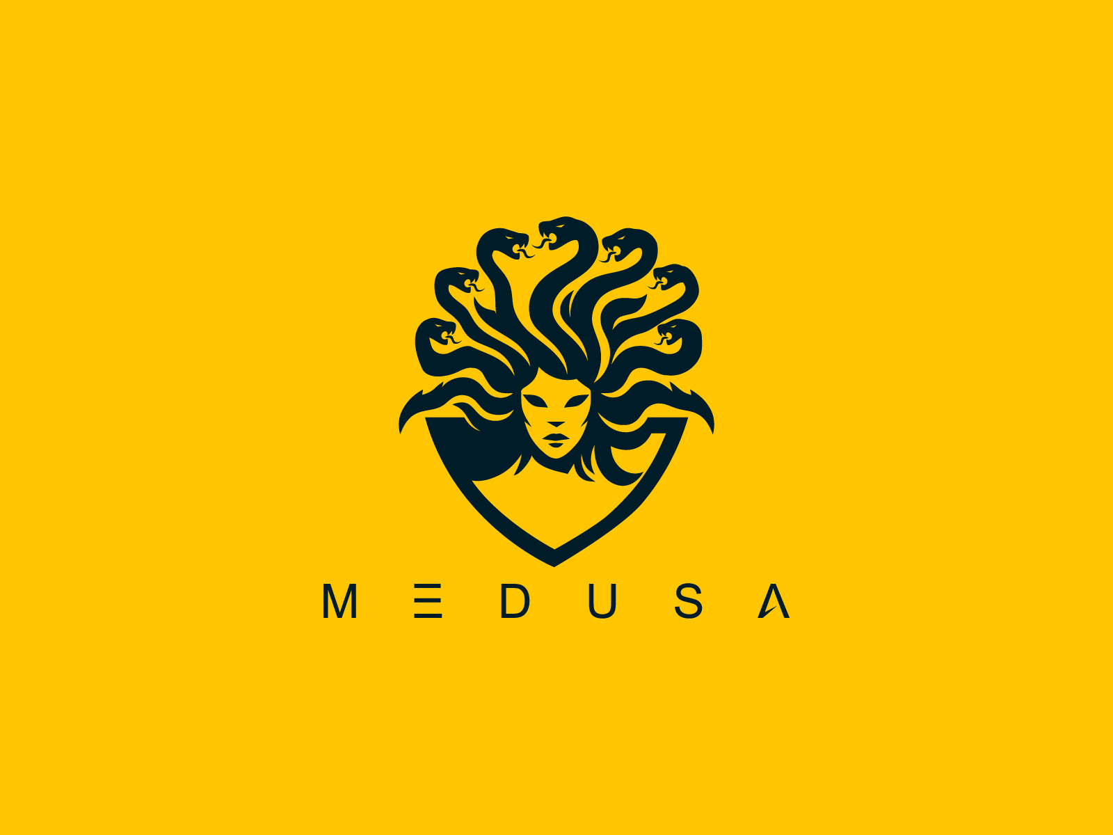 Example of We Will Create Custom Medusa Logo