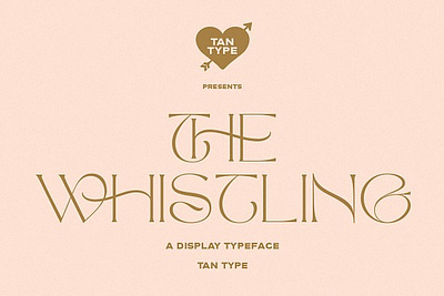 TAN - The Whistling 60s font 70s font 70s retro 70s vintage display font elegant font fashion font feminine logo font luxury font magazine font modern serif retro font serif font serif typeface stylish font trendy font vintage font wedding font wedding invitation font