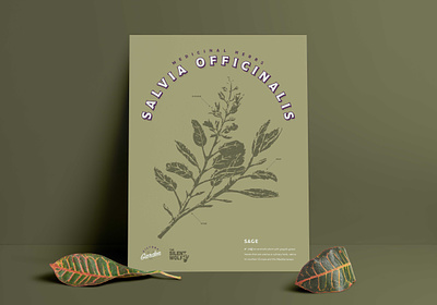 Sage Print design graphic design illustration print