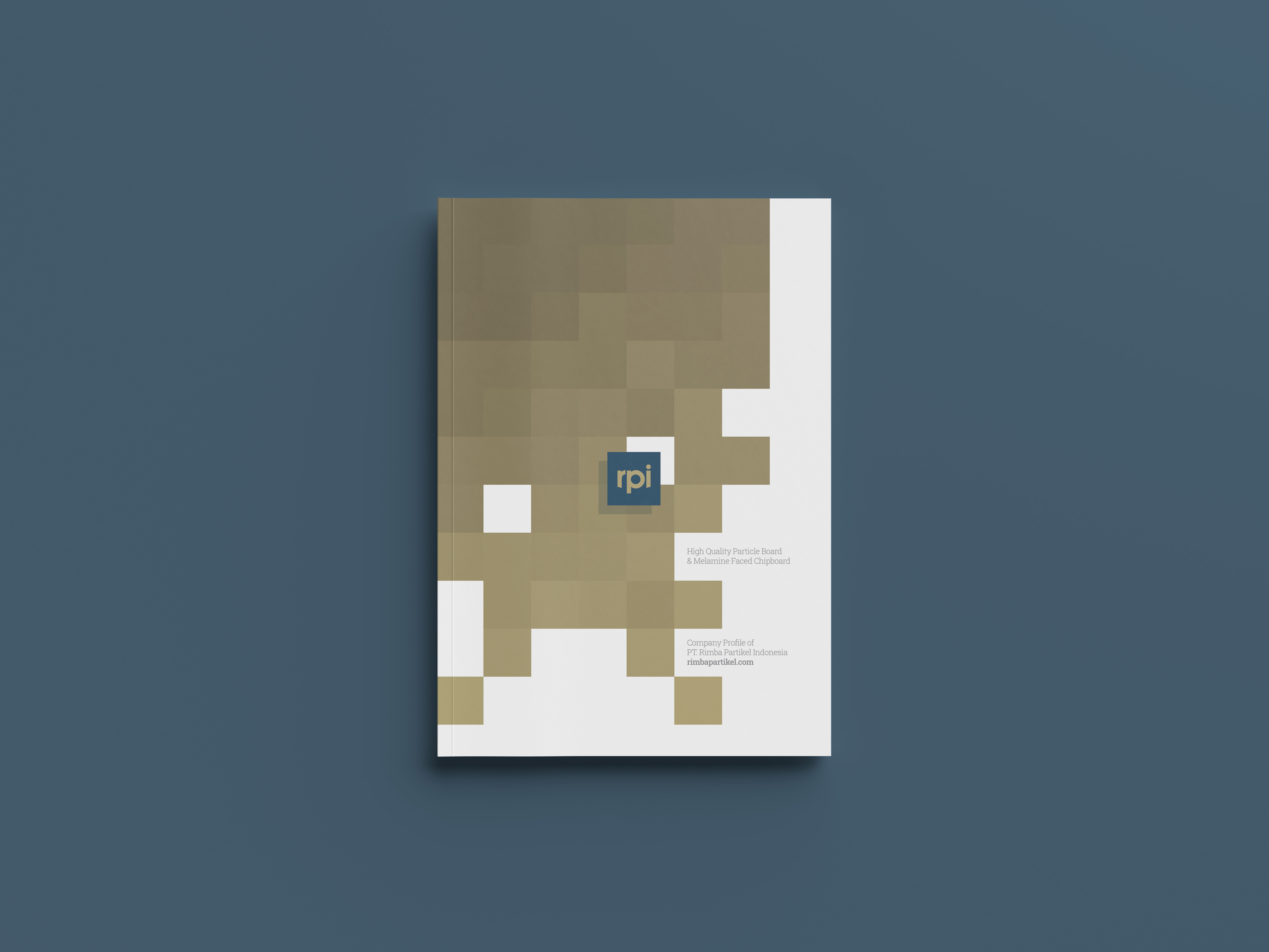 Brand Identity Design | Rimba Particle Indonesia brand branding content graphic design identity logo