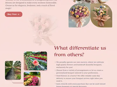 Floral Whispers – A Seamless UI/UX for Floral Retail design figma flower website design graphic design product design ui uiux user interface webdesign website