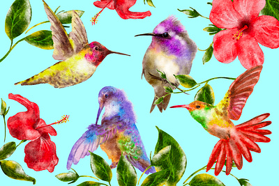 Cute Watercolor Hummingbirds and Hibiscus Flowers beautiful bright colorful clip art digital watercolor procreate hand painted hummingbirds hummingbirds clip art hummingbirds graphic design illustration nature png purple red summer summer flowers clip art tropic tropical birds illustrations watercolor watercolor birds illustrations wildlife