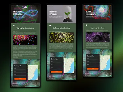 NBV - Mockup 2.0 3d adobexd branding design graphic design illustration logo mockup prototype typography ui user flow ux ux ui vector website design website mockup wireframe