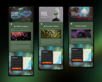 NBV - Mockup 2.0 3d adobexd branding design graphic design illustration logo mockup prototype typography ui user flow ux ux ui vector website design website mockup wireframe