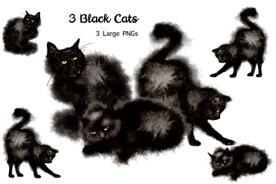 Digital Watercolor with Procreate 3 Black Fluffy Cats black and white watercolor black cats clip art black cats png black fluffy cats grpahic digital watercolor animals watercolor black cats watercolor pet animals