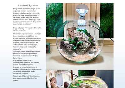 site web EzAquadesign design typography ux web site