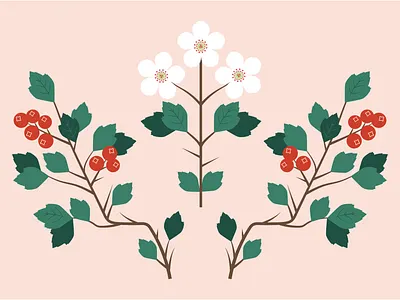 Hawthorn Berries & Blooms berries bright canada design flowers graphic design great lakes haweater illustration manitoulin island merchandise nature pattern spring summer tourism