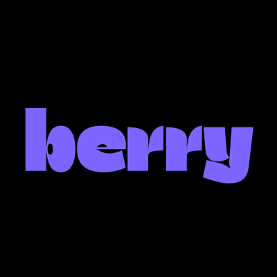 Berry Typeface fonts logo type design typeface typography