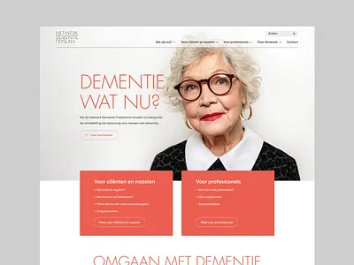 NDF - webdesign (1/2) design ui ux webdesign