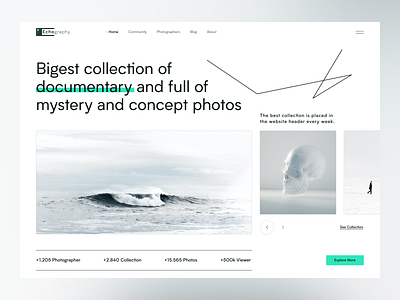 Echography Website Landing collection documentary photo echo echo design echodesign gallery green landing line art minimal photo collection photography photography website slider design ui design ux design website website landing white white landing