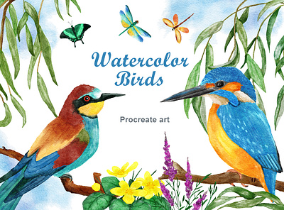 Watercolor bird clipart birds branding clipart design digital paper ecology environment illustration nature png procreate watercolor