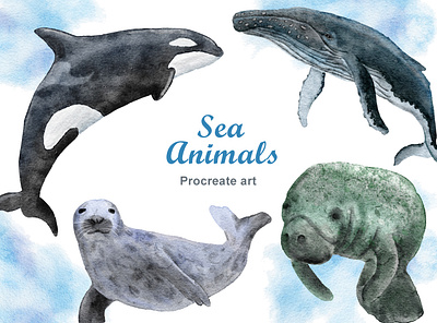 Sea Animals Project animals branding clipart design digital paper dolphins ecology environment illustration orca procreate seals watercolor whales