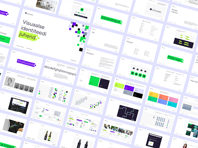 Bitweb Styleguide brand branding bright clean client colorful cvi design development guidelines identity infotechnology it minimal pattern style styleguide system visual web