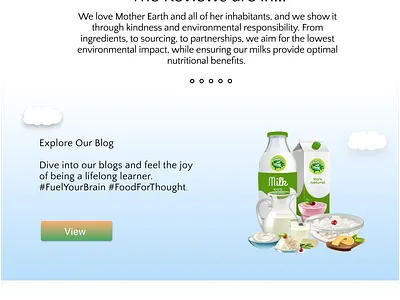 BGR_Homepage_Design graphic design ui uiux userinterface