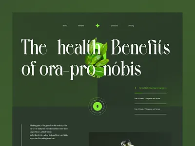 Natural Health leaf page dailyui design health illustration landingpage ui ux vegan webflow webpage