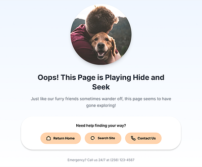 404 Page for a Vet Website 404 page design ui ux