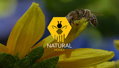 NATURAL HONEY branding design designer graphic design graphics logo logo design logo designer visual identity