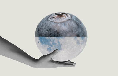 blue moon. blue moon blueberry design graphic art graphic design moon surreal surreal art surrealism