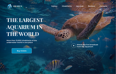 LANDING PAGE | WEB DESIGN | AQUARIUM design graphic design ui ux