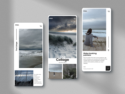 The Collage - Photos Interaction app application clean design illustration interface photo gallery photography photography portfolio photography presentation photography theme portfolio studio ui ux