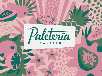 Paletería graphicdesign icecreams icepops illustration logodesign