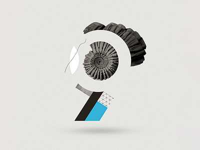 9 36daysoftype challenge collage collage art collage digital collage maker collageart design fossil graphic graphicdesign illustration instagram letter nine number seashell type typo vintage