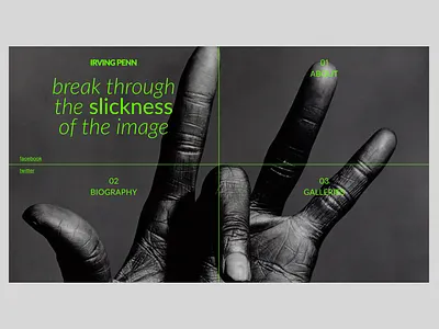 Biography page about Irving Penn concept design graphic design illustration typography ui