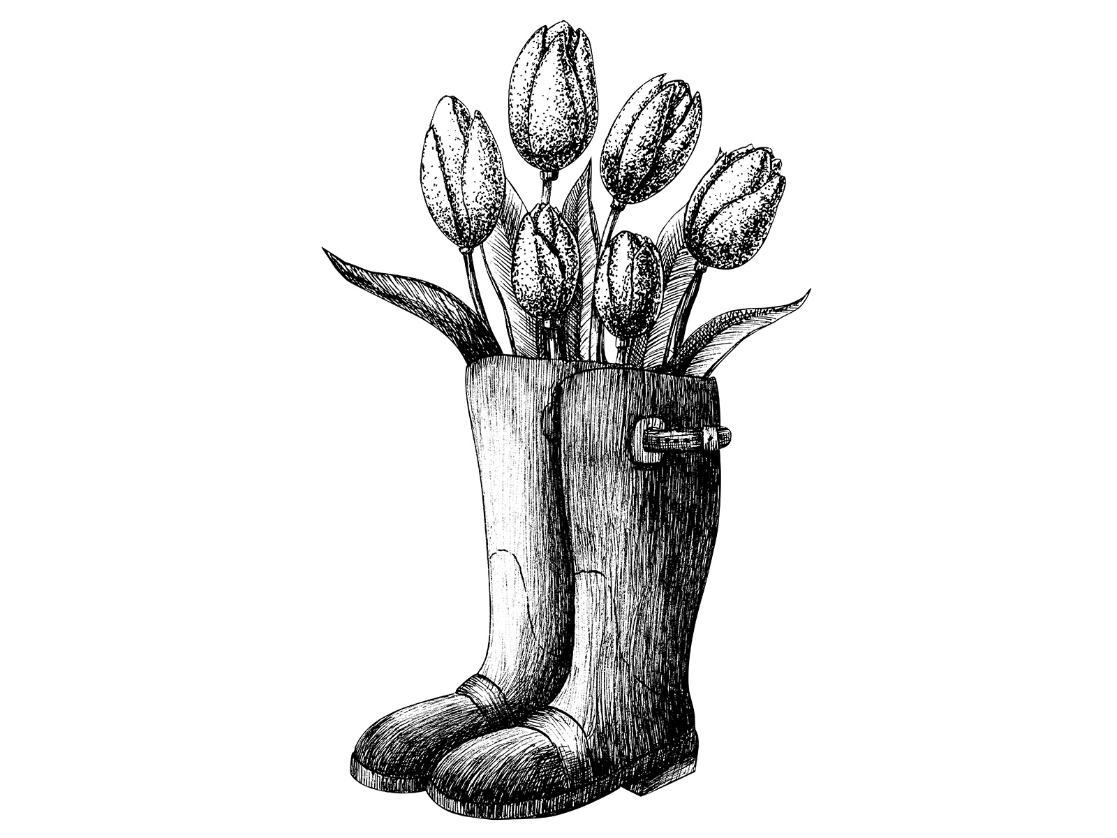 Example of Detailed Line Illustration