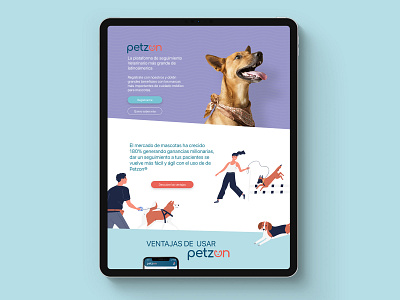 Petzon Website ui user experience user interface ux web website