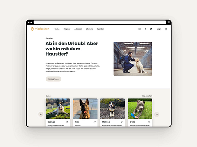 Vierbeiner • Placement platform for pets from the shelter animal animal shelter cats conception design dog platform plattform research ui ux website