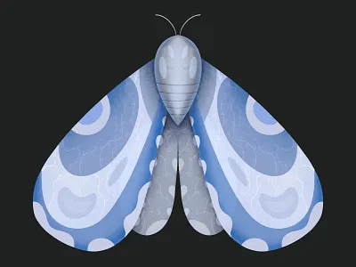 Butterfly 2d abstract adobe adobe illustration adobe photoshop art artwork clean colorful design digital art flat graphic design illustration minimal modern pattern procreate simple vector