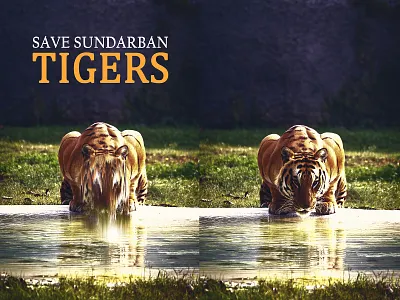 Photo manipulation - from that to this !! 3d animation app branding design graphic design illustration logo motion graphics typography ui ux vector