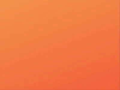 Trippy - Travel Management Website booking app booking website destination homepage landing page tourism tours travel travel agency travel app travel booking travel guide travel landing page travelling trip trip planner ui design ux design web design website