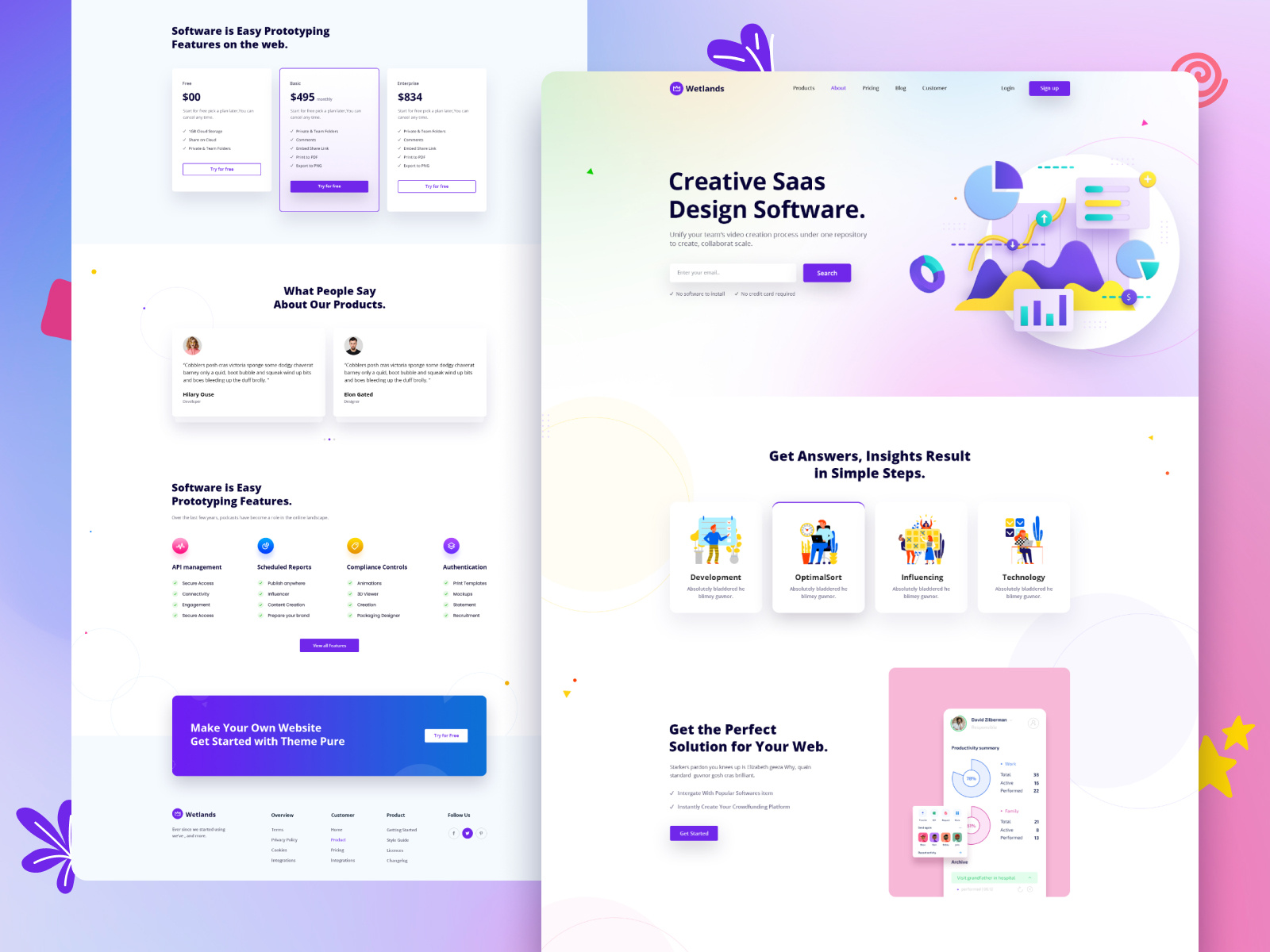 Example of Saa S Website Design