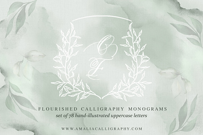 Calligraphy Monogram Bundle calligraphy calligraphy monograms design graphic design lettering logo logo creation logo desing monogram monograms vectors wedding logo wedding monograms