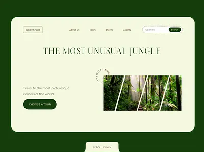 Jungle Tour design web design website design