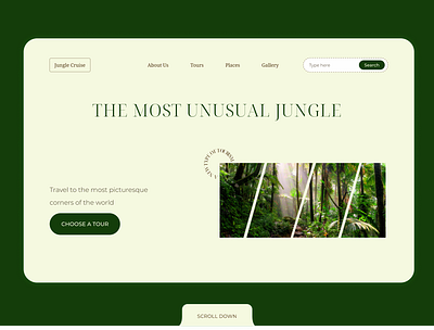 Jungle Tour design web design website design