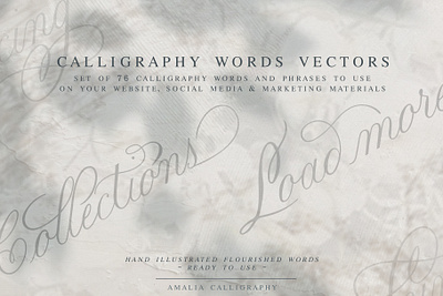 Social Media & Website Words Calligraphy Vectors branding calligraphy design graphic design lettering marketing materials social media website buttons website design