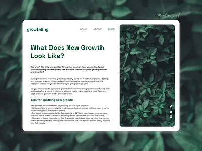 Blog Post 035 blog design blog page blog website blogpost blogs post design dailyui dailyui035 dailyuichallenge day035 ui ui design