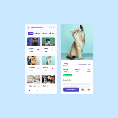 Pet Adopt App - Mobile App pet pet adopt app ui uidesigner uiuxdesigner ux uxdesigner