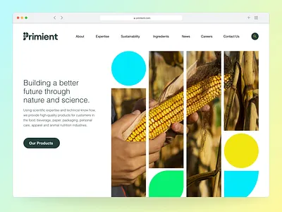 Primient layout ui web design website