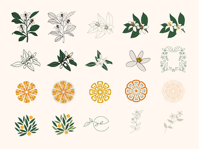 Ezelle Icon Study art direction branding citrus design floral flower graphic design icon illustration leaves logo orange blossom