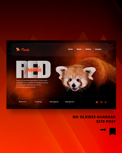 Red Panda - UI animals design gradients graphic design interface landing page modern modern design orange panda red panda ui ux web design