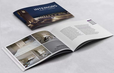 Brochure branding graphic design illustration typography